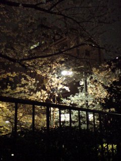 20070402.jpg