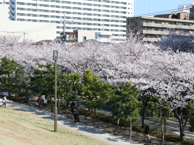 20120408_03.jpg