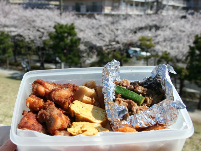 20120408_04.jpg