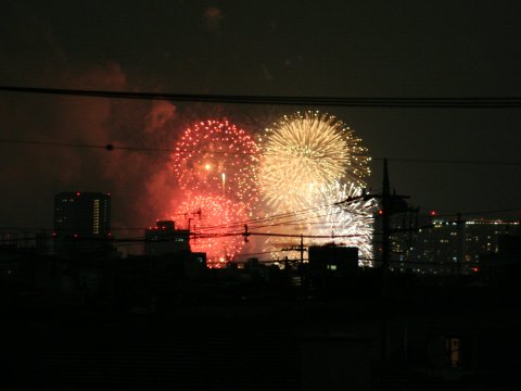 hanabi2008-003.jpg