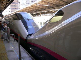hirosaki2007-04.jpg