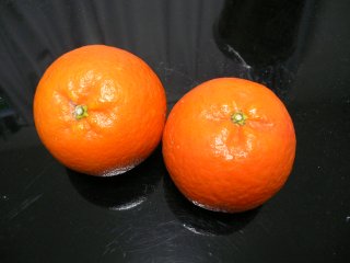 tankan1.jpg